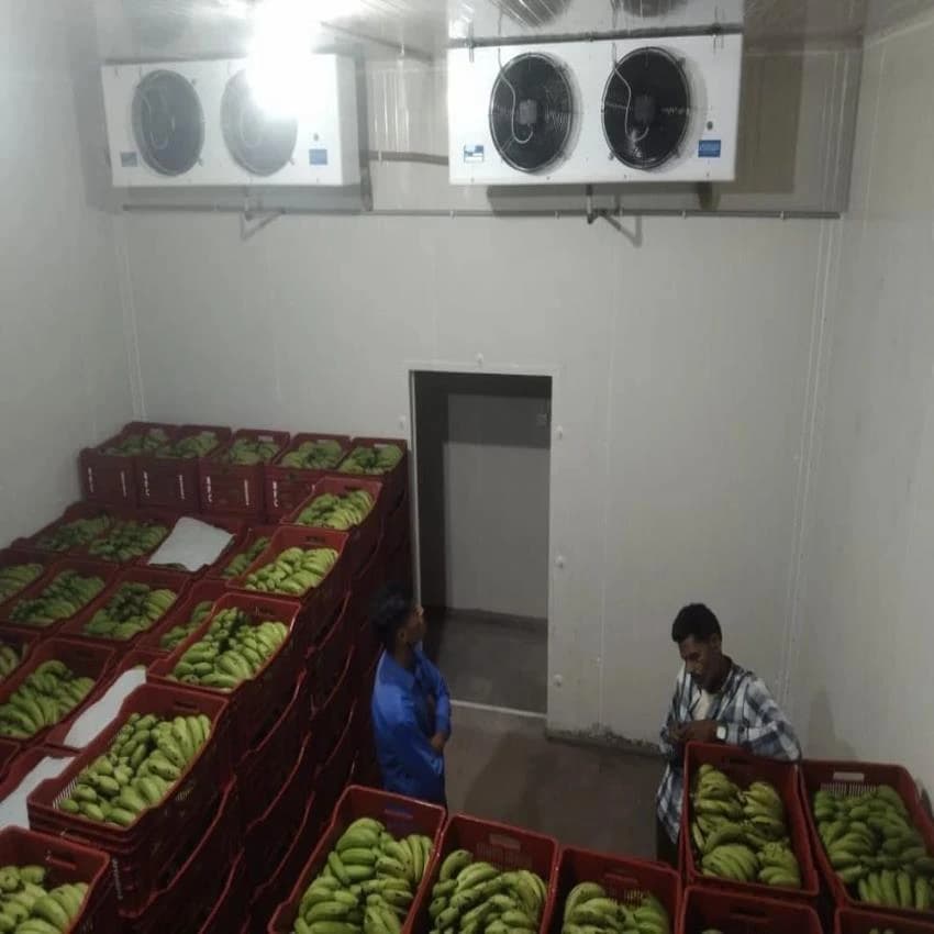 Semi-Automatic Banana Ripening Chamber, +14 To +18, Capacity: 5 Tan