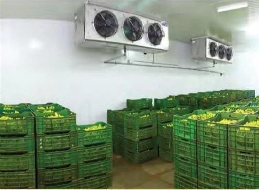 Automatic Banana Ripening Chamber, For Storage, Capacity: 5 Ton