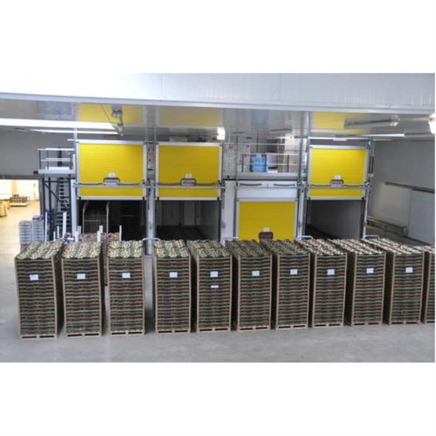Banana Ripening Chamber