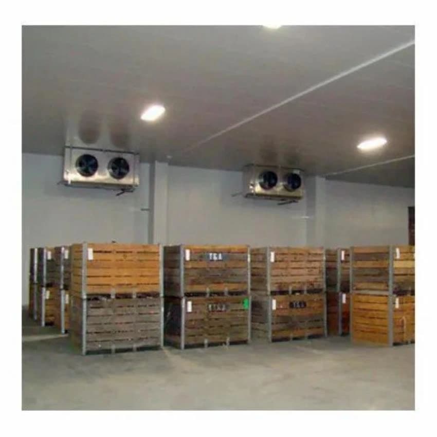 Automatic Fruit Ripening Chamber, 10 To 15 Mt, 230 V To 415 V