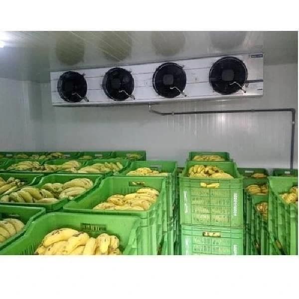 Banana Ripening Chamber