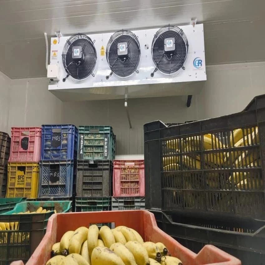 Automatic Ripening Chamber, 14 To 18 Deg