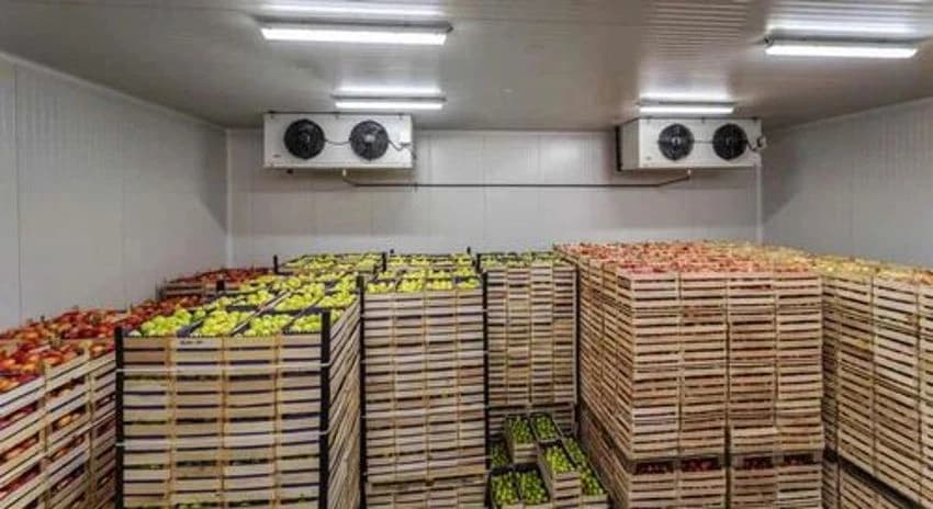 Fully Automatic Ripening Control System