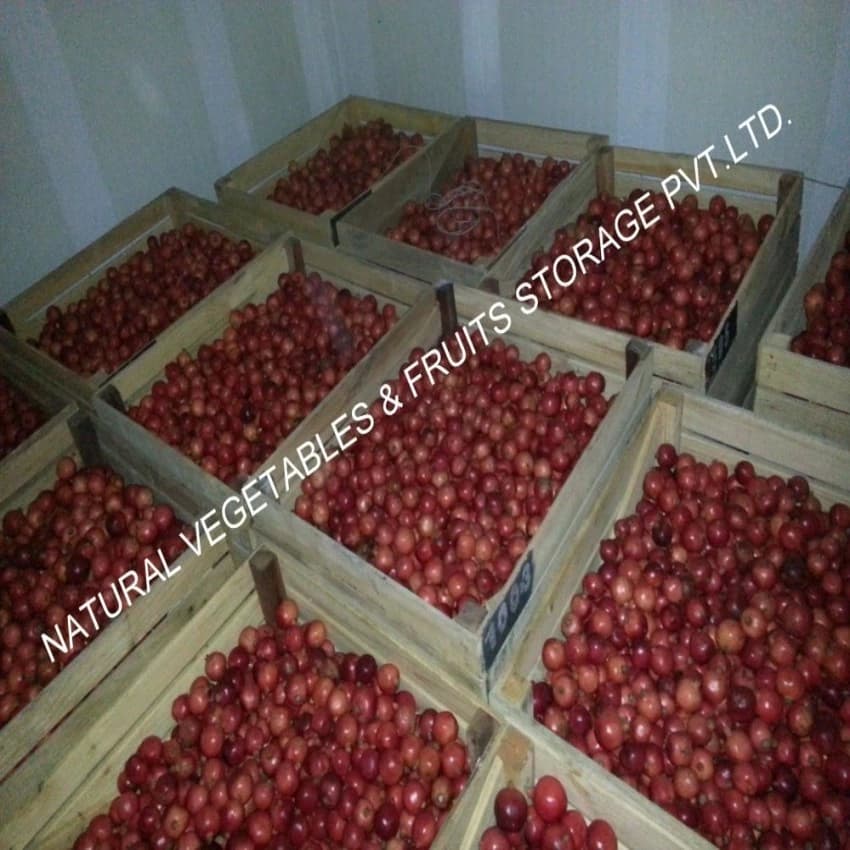 Cold Storage for Fruits