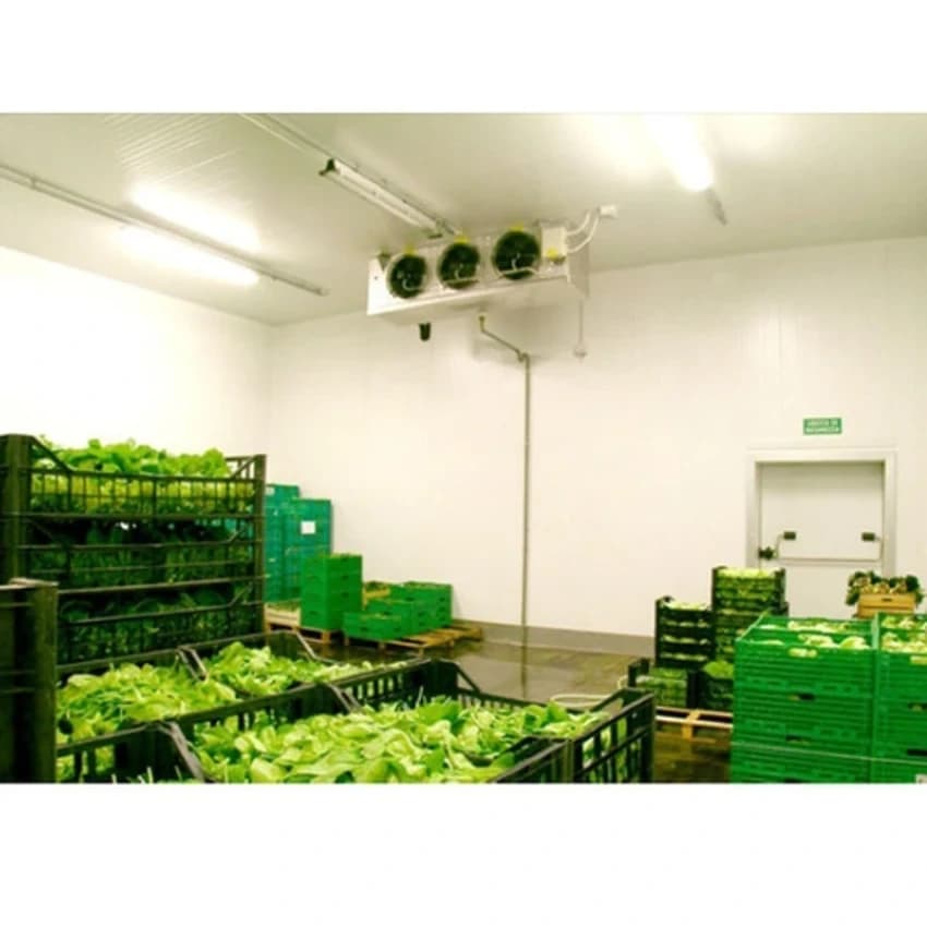 50 MT Flameproof 220V Vegetable Cold Storage