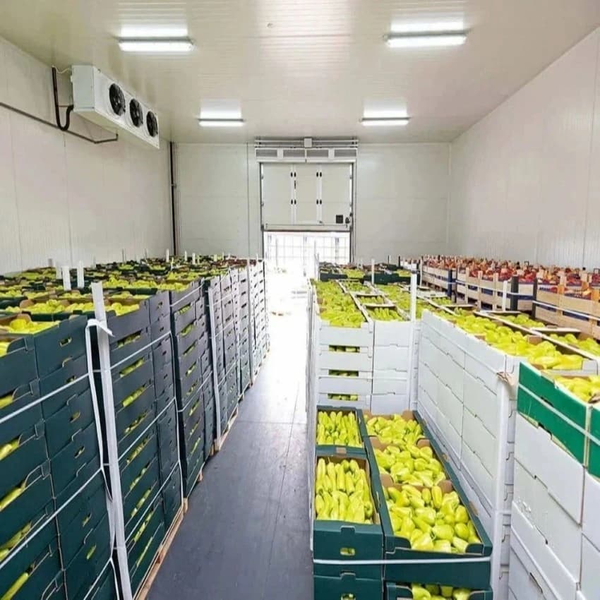10 T PUF Fruit Cold Storage Room