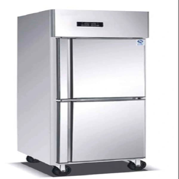 2 Door Deep Vertical Freezer