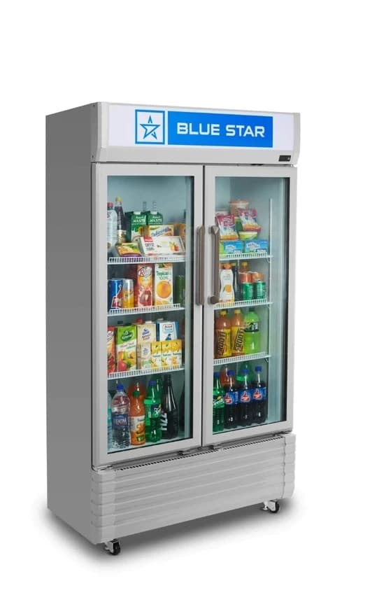 Blue Star Double Door Visi Cooler
