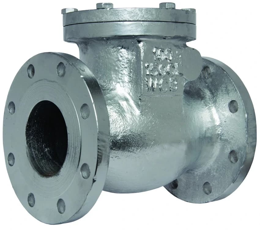 Non Return Valve Flange End, Valve Size: 2 inch