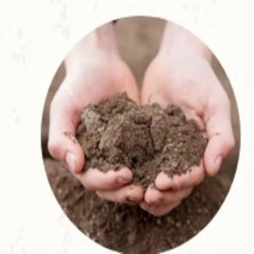 Soil Testing