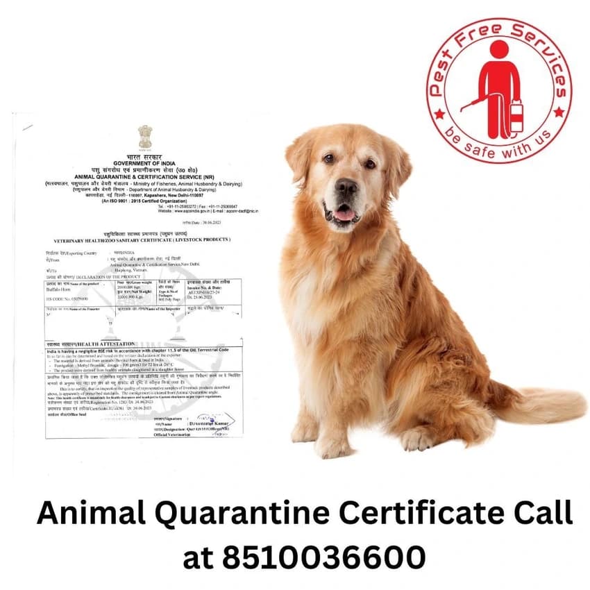 Animal Quarantine Certification Services