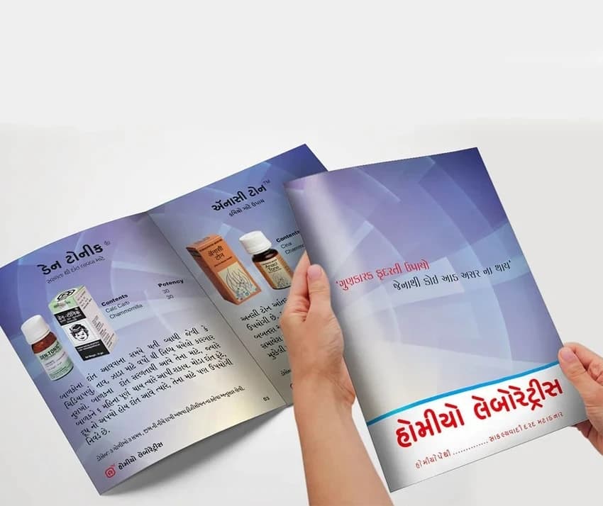 Brochure Designing Service