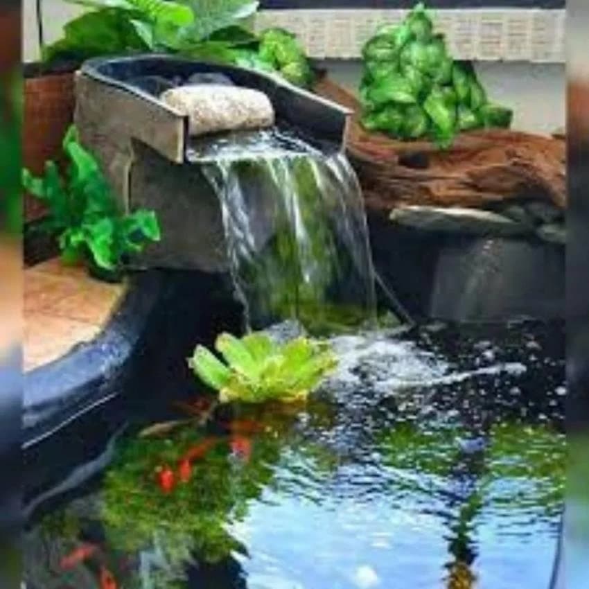 Water Fountain Service, Delhi Ncr, Terrace Garden