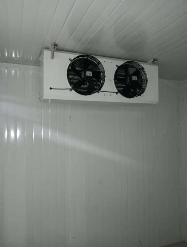 Vegetable Cold Storage