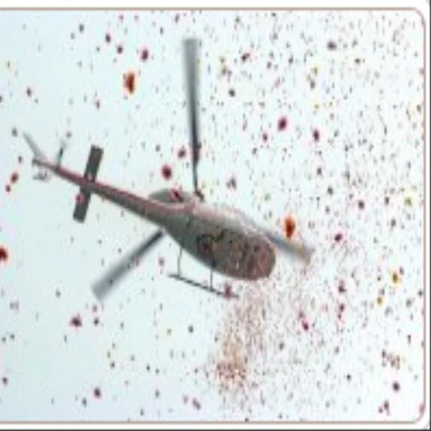 Helicopter Flower Showering