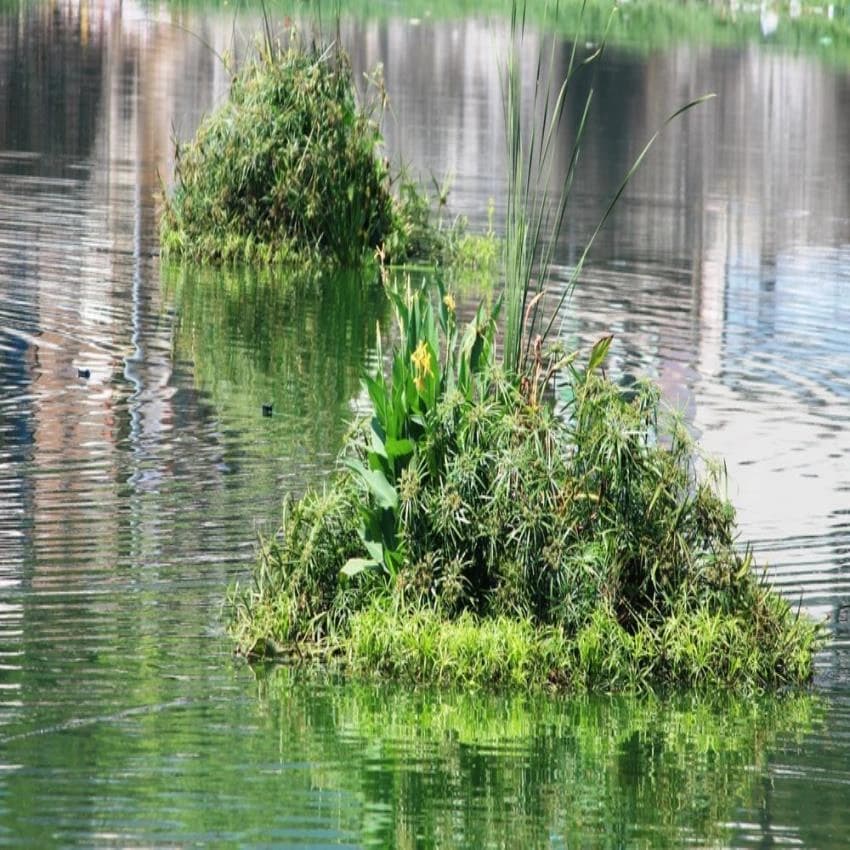 Eco Float Water Treatment