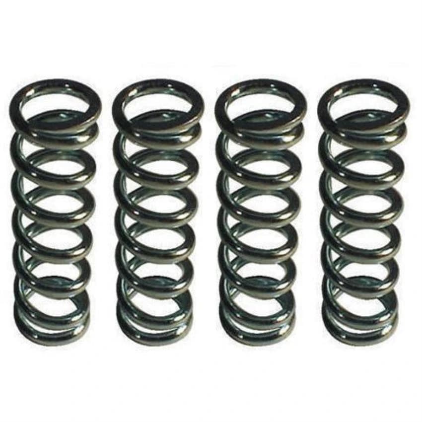 Heavy Duty SS Springs