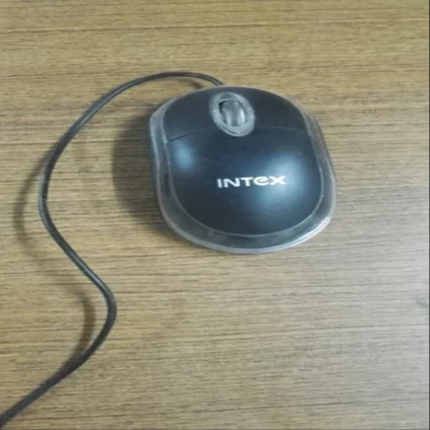 Computer Mouse