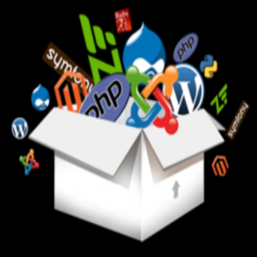 Custom Software Development