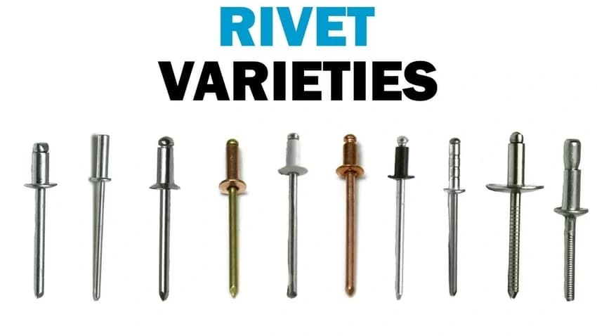 SS Pop Rivet.