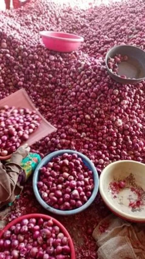 Fresh Onion