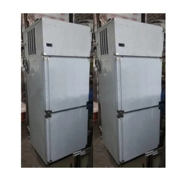 Vertical Deep Freezer, Capacity: 500 L