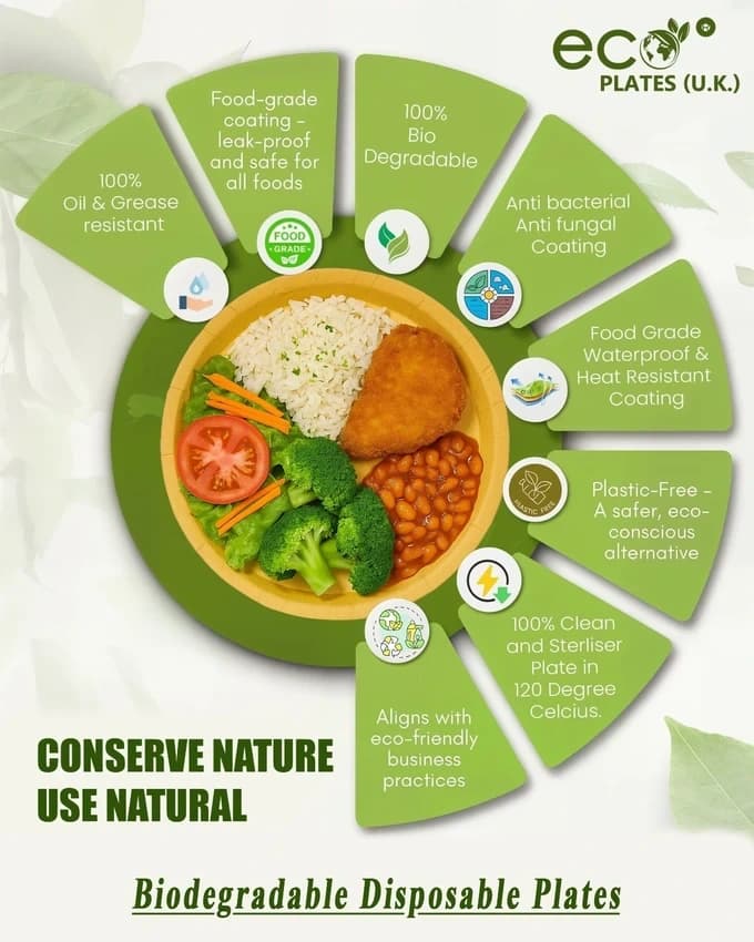Biodegradable Paper Plate
