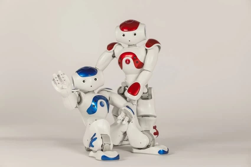 Intelligent Humanoid Robot