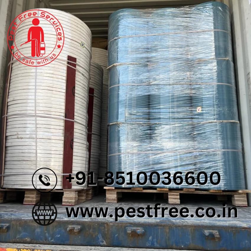 Transparent Stretch Wrap Film