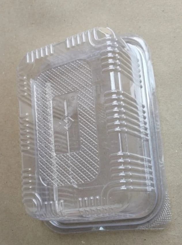 Rectangle 1000ml PET Hinged Food Packaging Container