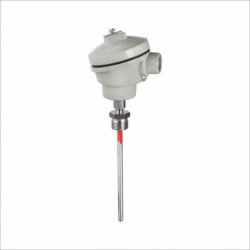 43760 DIN SS Resistance Temperature Detector Rtd, Temperature Range: -200 to 600 deg C