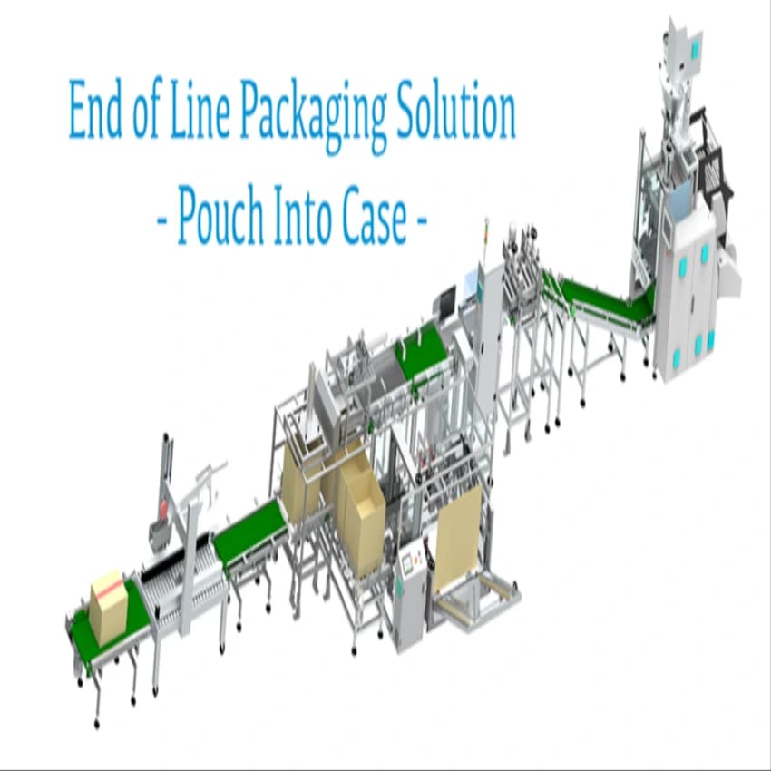 Automated Case Packer