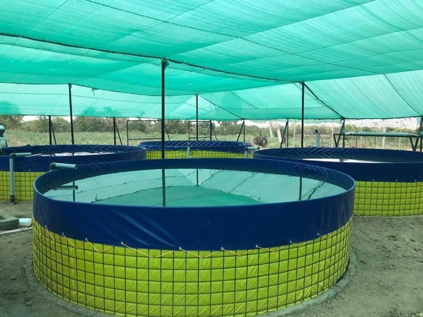 Round PVC Biofloc Fish Farming Tank (4m Diameter, 10000L Capacity) with SS Frame