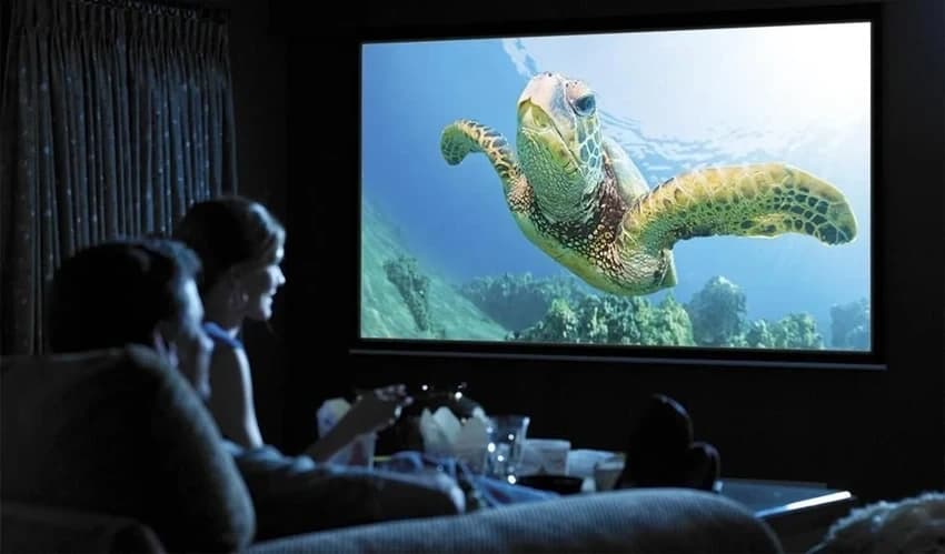 Home Cinema Fixed Frame Projector Screens, 169