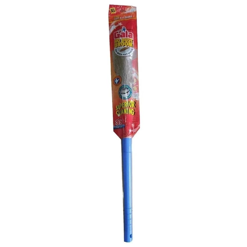 Gala Plastic Broom, Packaging Type: Carton Box