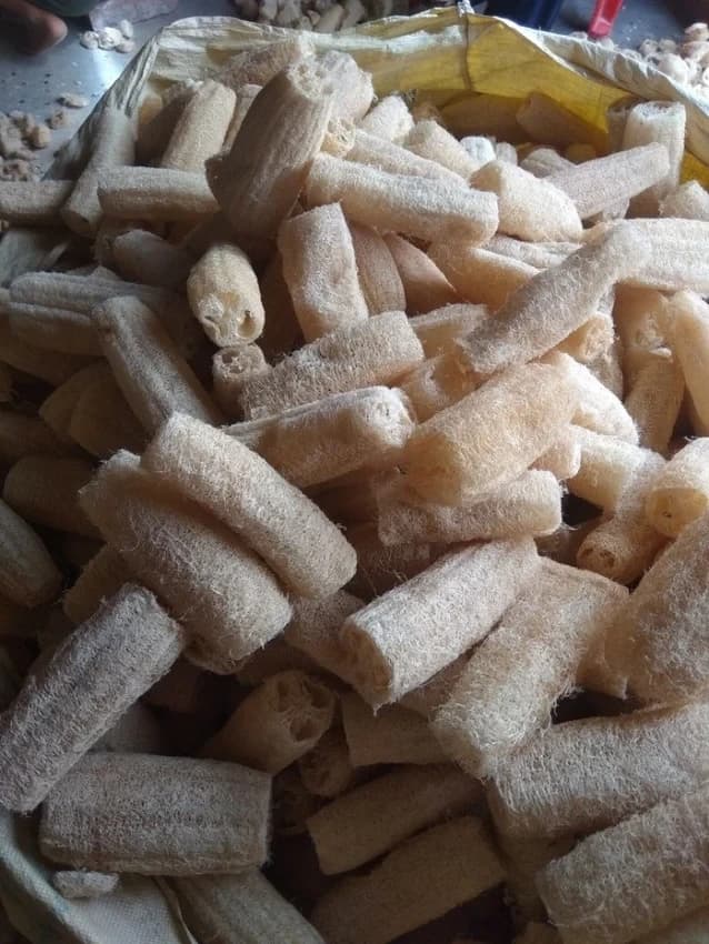 Natural Loofah Sponge