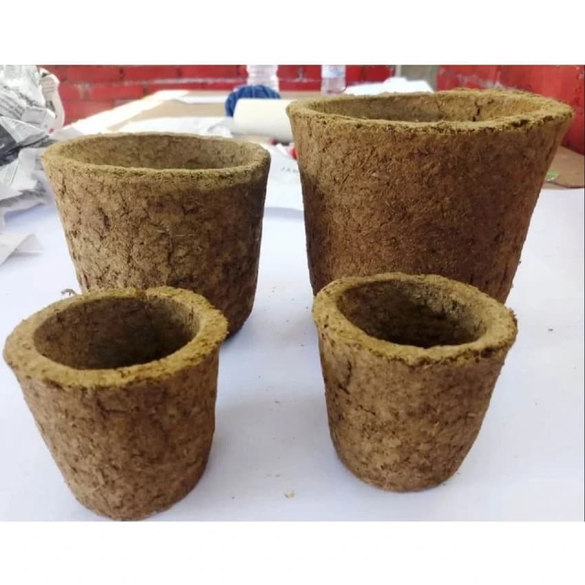Cow Dung Pots