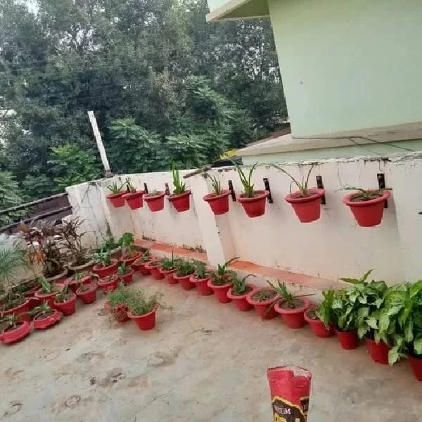 Flower Pot Stand Wall Hung
