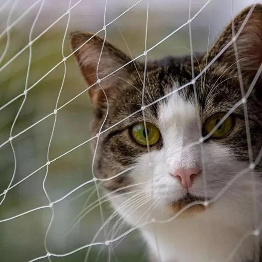 Cat Protection Net