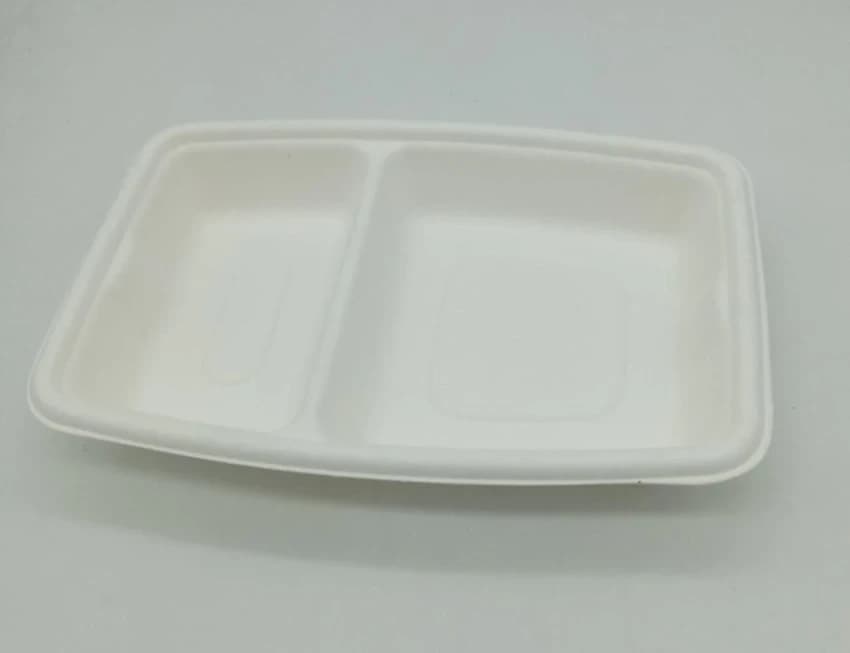 Sugarcane Bagasse 2 Compartment Plate