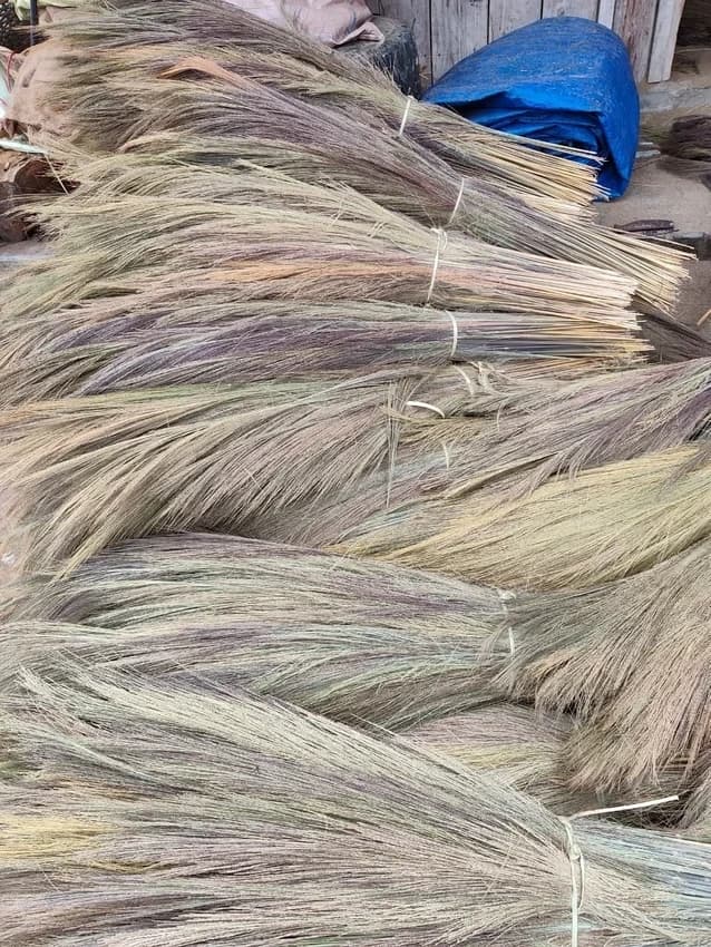 Grass Broom