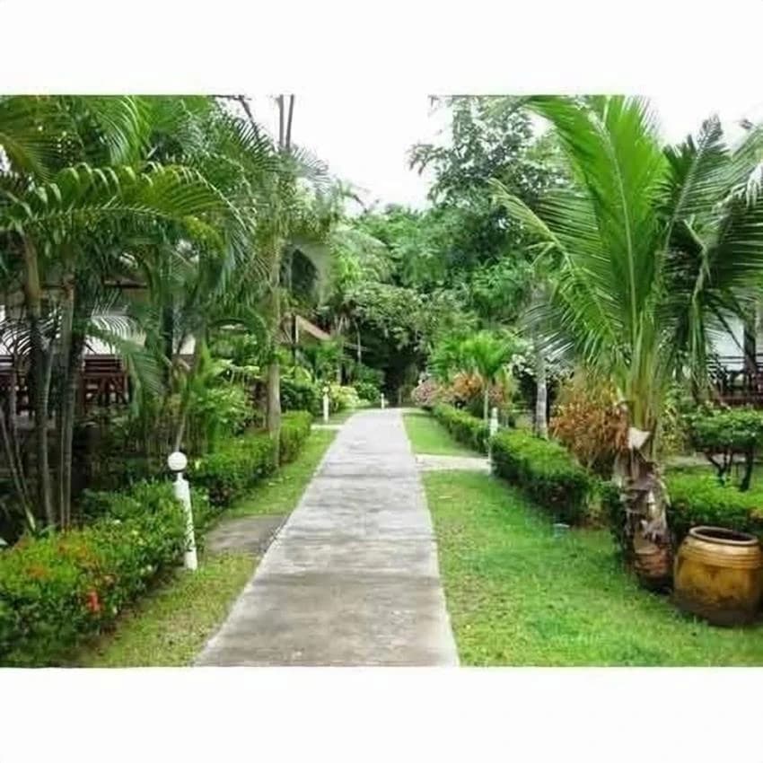 Front Yard Parks Or Gardening Landscaping Contractor Services, Gurajat