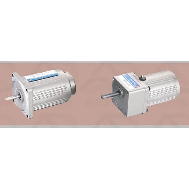 MICRO AC GEAR MOTOR SERIES 2RK6GN-C
