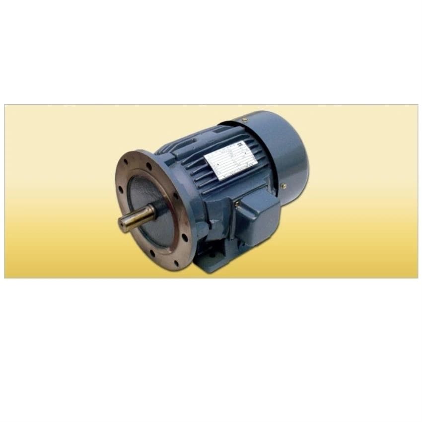Batliboi B35 75 HP Foot Cum Flange Motor