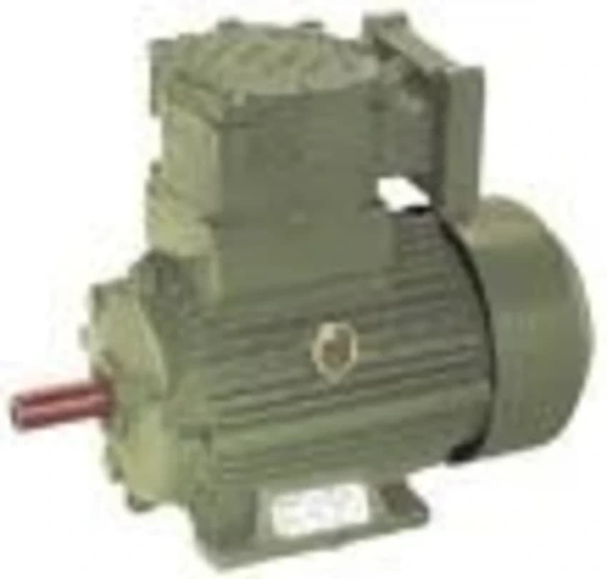 Flame Proof Motor