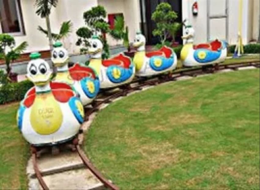 Duck Ride Train