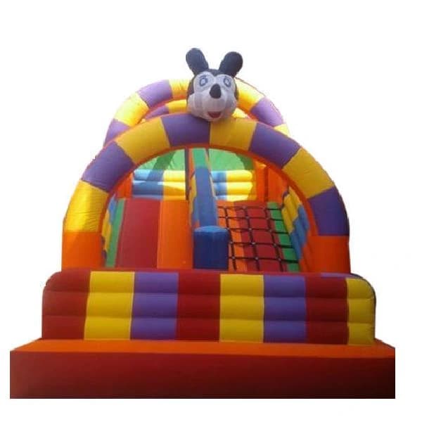 Kids Cartoon Inflatable Bouncer