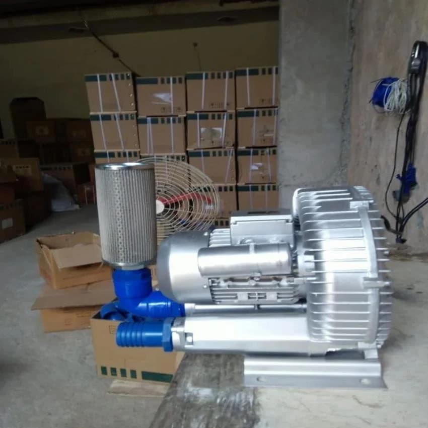 SS Air Regenerative Blowers