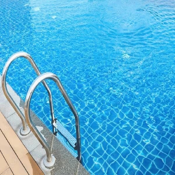 Swimming Pool Ladder