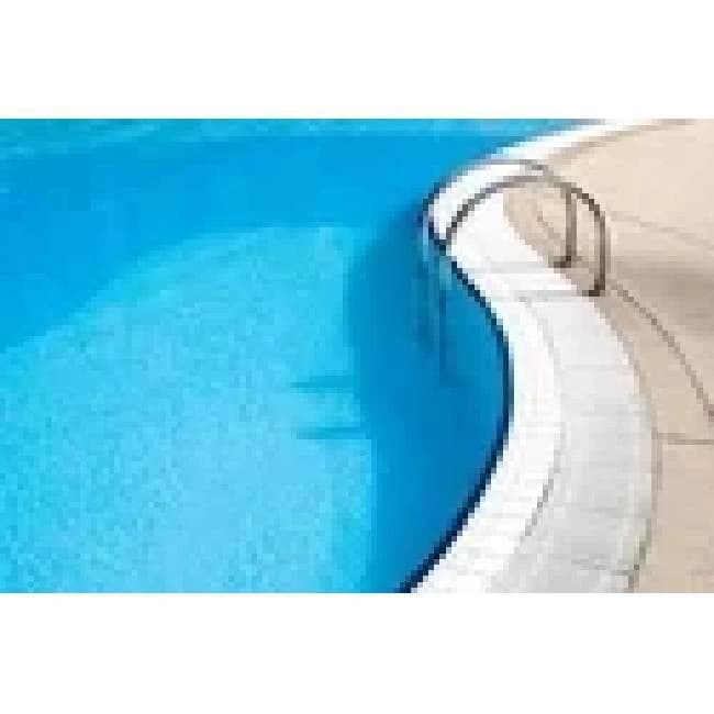 Swimming Pool Ladders